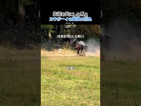 一生を共にした馬とカウボーイの別れ
