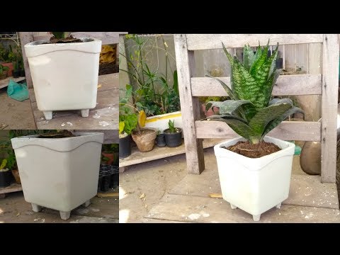 download lagu mp3 mp4 Big White Pot, download lagu Big White Pot gratis, unduh video klip Big White Pot