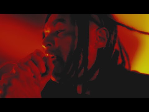 Video thumbnail for Paper Tigers