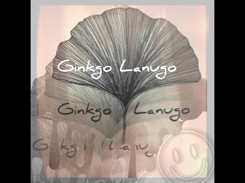 Ginkgo Lanugo - Mat Seiko (original mix)