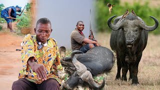 Download lagu The Hunter's Epic Encounter: Battling a Buffalo with Bare Hands and the Price He Paid - Sad Story! mp3