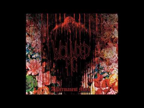 Wounded Pig - Permanent Mark (2016) Full Album (Powerviolence/Grindcore)