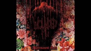 Wounded Pig - Permanent Mark (2016) Full Album (Powerviolence/Grindcore)
