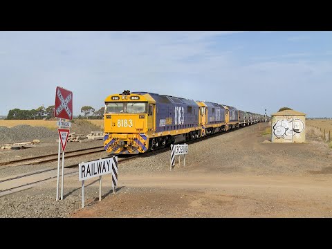 7733V Pacific National Grain Train With WGSY & WGBY Hoppers (12/12/2023) - PoathTV Railways