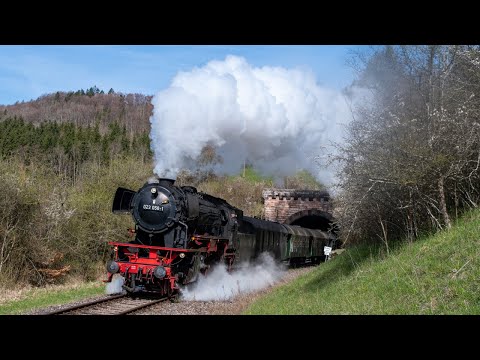 Dampf im Südwesten - 23 058 auf der Sauschwänzlebahn