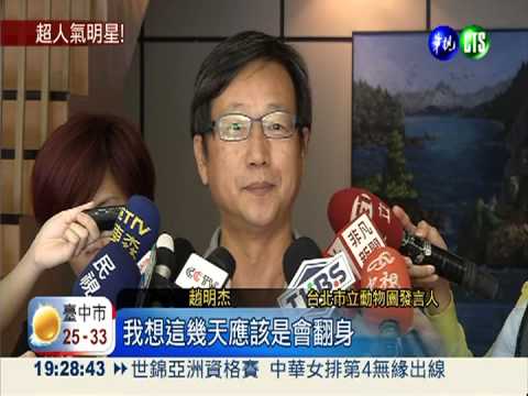 圓仔頭好壯壯! 乳名暫居票選第1