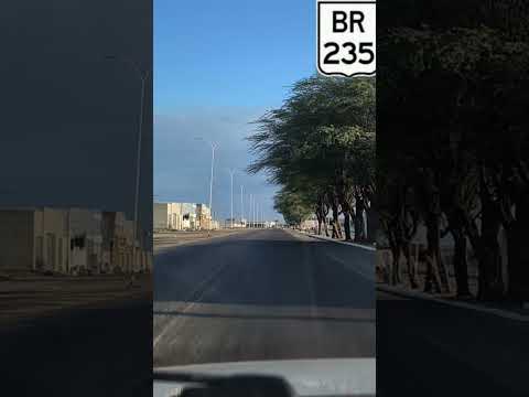 #sertão#bahia#casanova#viagem#nordeste#viagemdecarro