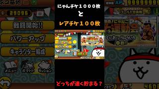にゃんチケ１０００枚とレアチケ１００枚どっちが速く貯まるかわかりますか？＃にゃんこ大戦争＃にゃんチケ＃レアチケ