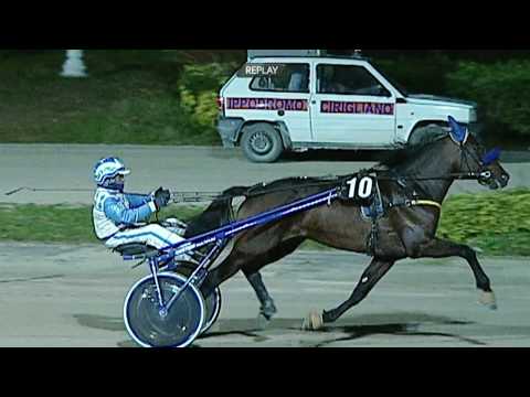 Aversa trotto 29 Gennaio 2020 - 6° Corsa