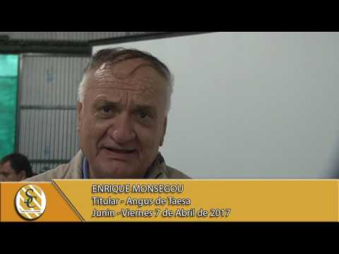 07-04-17 Nota a Enrique Monsegou - Angus de Taesa - Junín.