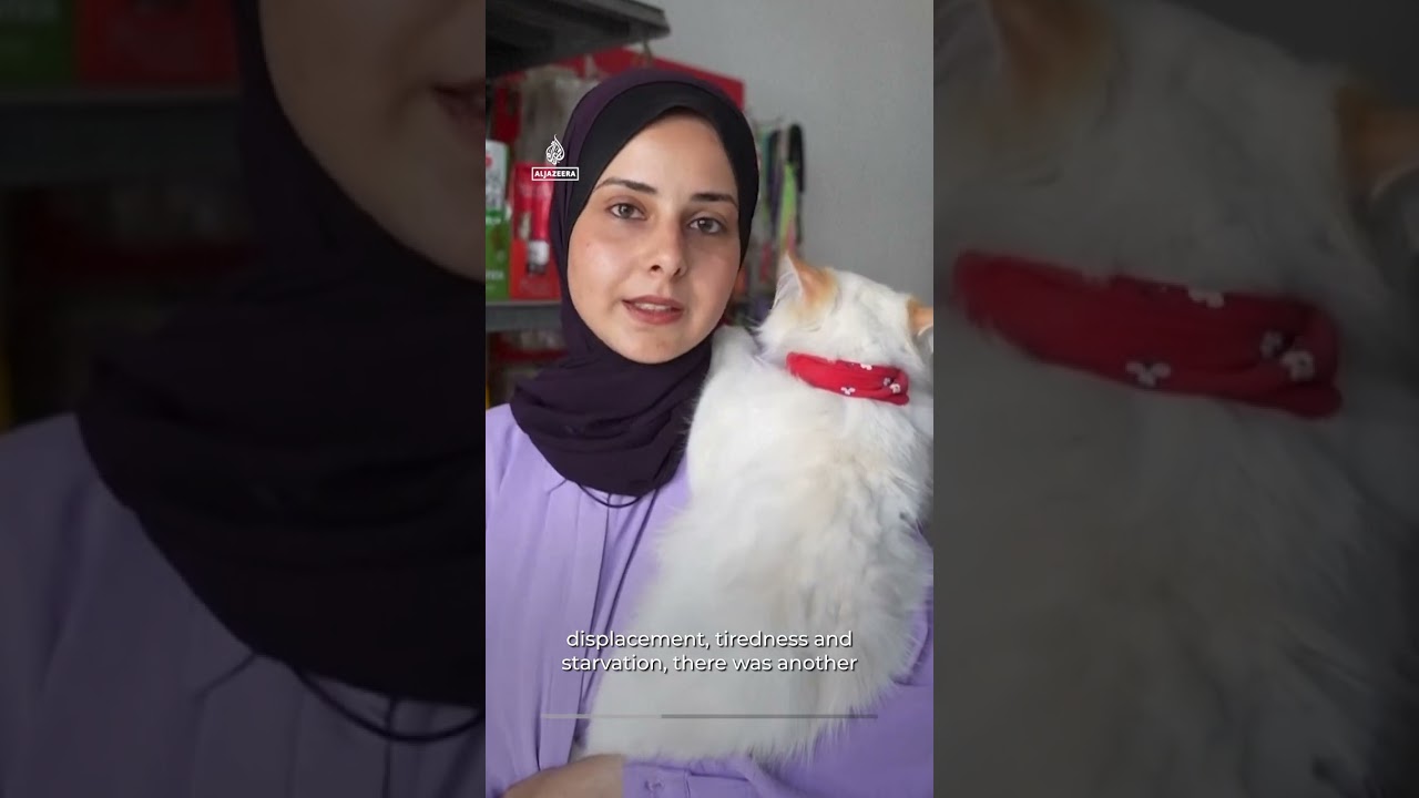 Video | Gaza pet owners struggle to keep animals healthy amid vet crisis | AJ #shorts