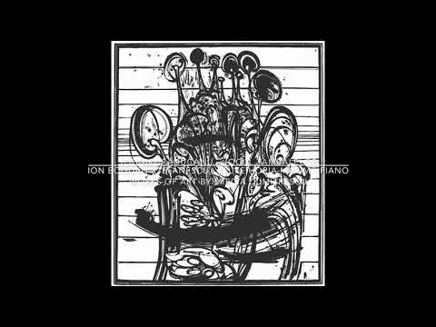 @ionbogdanstefanescu  Johnny Răducanu - Jocul țambalelor