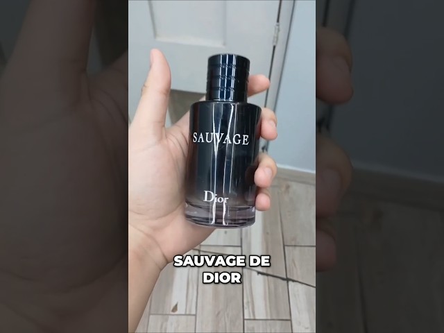 Vídeo relacionado con Perfume SAVAGE Collection Privée Nouvelle Edition (Gold Edition), idea de regalo, perfume de larga duración y unisex de 50 ml, fabricado en Francia (SAVAGE)