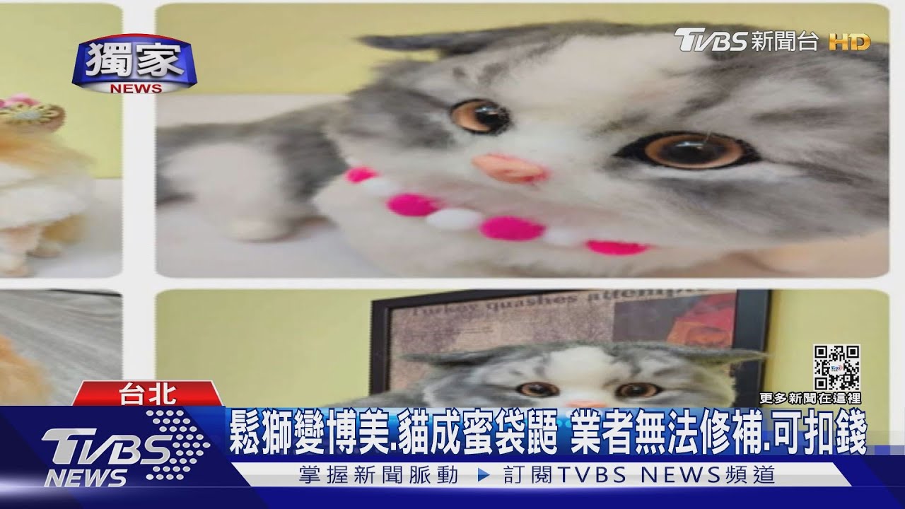 完全不像! 女訂製寵物羊毛氈「鬆獅變博美」