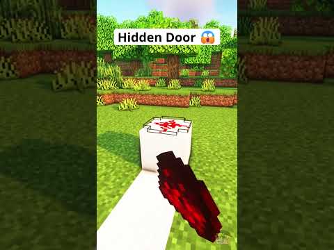 INSANE Minecraft Redstone Door WOW 😱