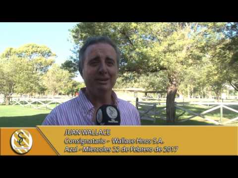 22-02-17 Nota Juan Wallace - Wallace Hnos S.A. - Azul.