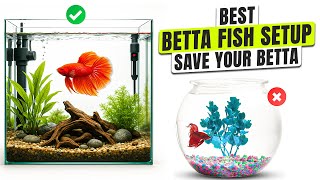 Betta Fish Setup — Miss THIS and Your Betta Could Die!