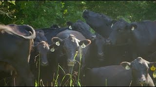 KY Agriculture Water Quality Act - Jim Morse’s Story