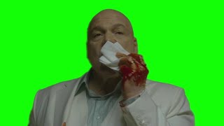 Wilson Fisk Kingpin "any questions?" Daredevil Born Again green screen