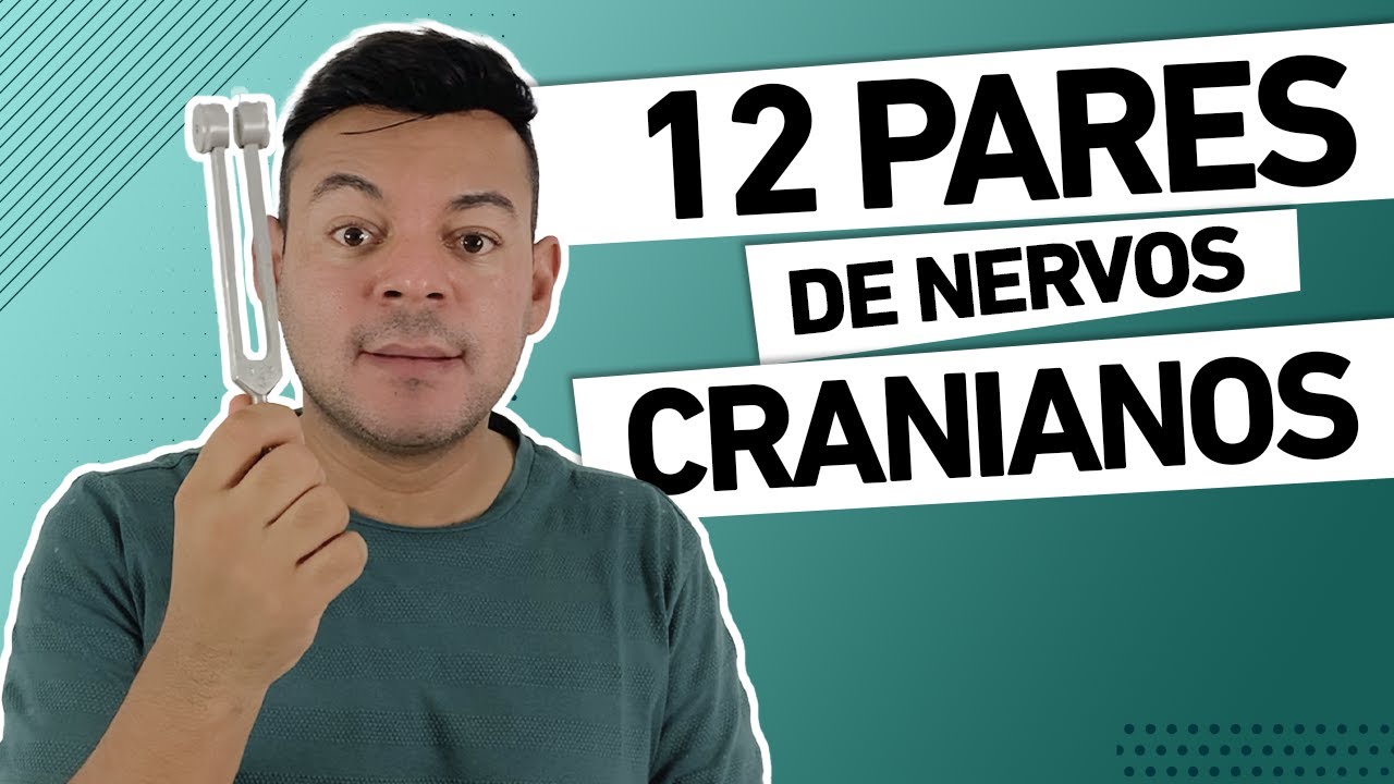 12 PARES DE NERVOS CRANIANOS NA PRÁTICA - Semiologia