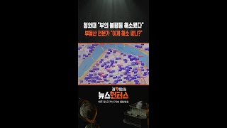 청와대 "부의 불평등 해소됐다" 부동산 전문가 "이게 해소 맞나?"/ SBS / #shorts