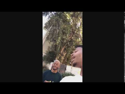 That's a great idea.