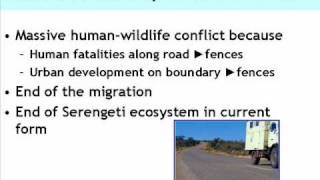 Serengeti - North Road Review