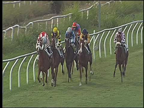 Galoppo 16/07/2016 - 2° corsa