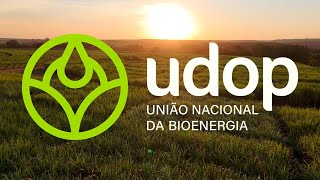 UDOP 40 Anos de Tradição e Inovação