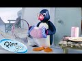 Pingu And The Band Pingu Official Channel Cartoons For Kids