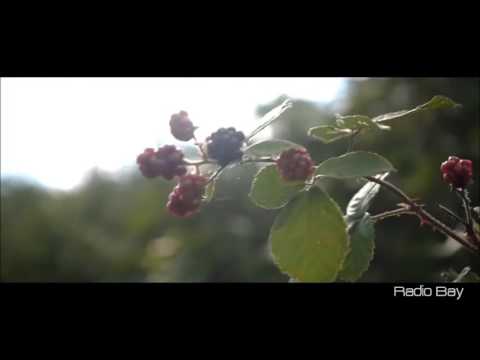 Sagi Abitbul & Guy Haliva -Stanga