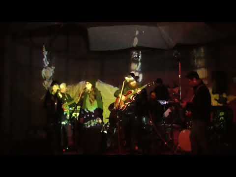 Papa Bear and The JP Easy Love Hawaiian Dam