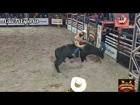 Rodeio De Pindorama Montaria em Touros