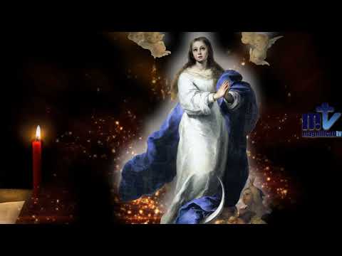 Oración a María: Día 31 | El Cántico de Amor y Gratitud de la Virgen María | Franciscanos de María