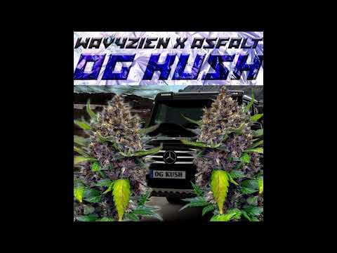 WAVYZIEN x ASFALT - OG KUSH