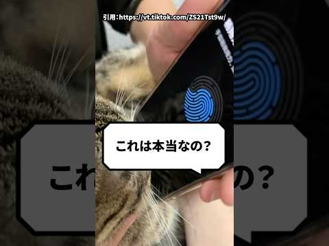 プリオネイルルス・ベンガレンシス