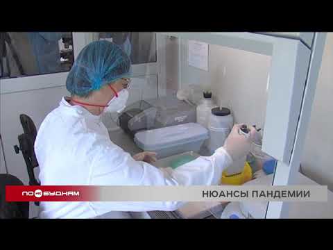 Поддельные справки об отсутствии коронавируса продают в Иркутске через соцсети