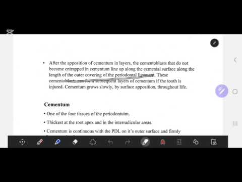 RUC 2 CEMENTOGENESIS BY ATHEER ADNAN