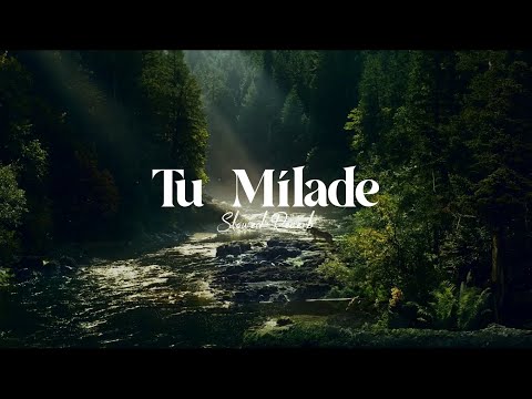 Tu Milade | [Slowed+Reverb] | Ankit Tiwari
