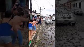 tempestade de sapos#ia#inteligenciaartificial#shorts#meme#memes#trend#fpy#fpyシ#fpyツ#viral