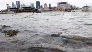 “Controlled feces release” by anti-pipeline Quebec politicians leads to “massive fish kill”