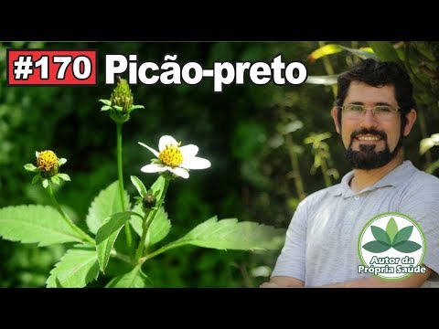 Planta Medicinal  -  Picâo  Preto