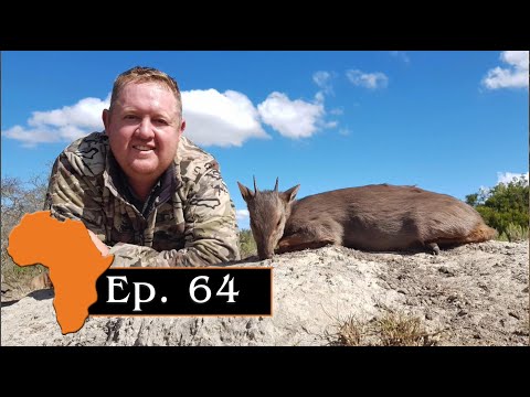 Blue Duiker hunt with Stompiesland Safaris, Ep. 64