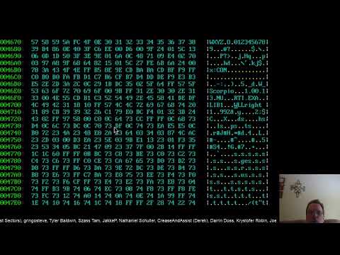 Previous Live Stream Chat, Hang out, and Hex Editing