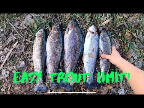 Trout Fishing with Senkos and Notorious Jigs