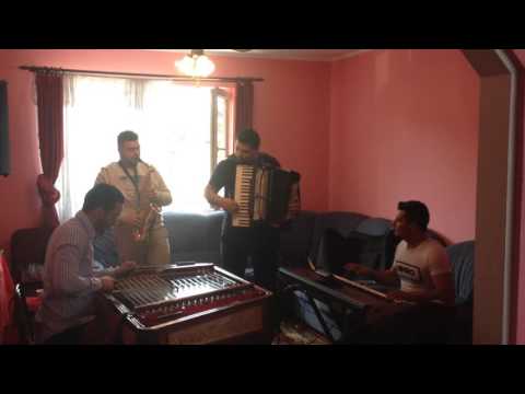 Studiu la Gura Humorului