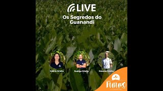 Miniatura do vídeo