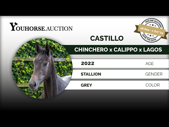 Castillo