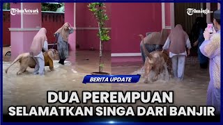 Download lagu VIRAL: THE MOMENT TWO WOMEN SAVE A LION FROM A FLOOD mp3