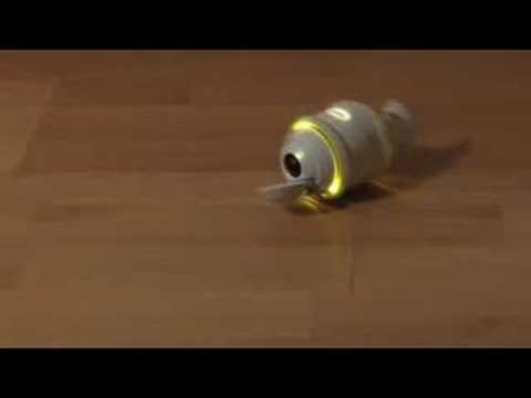 Sony Rolly dancing to "The Arcade" by Hypercrush